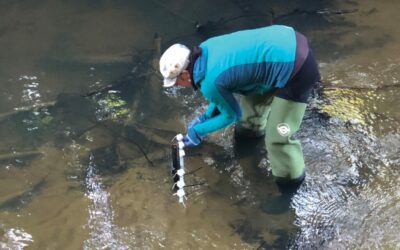 Wai Tuwhera o te Taiao – Open Waters Aotearoa reconnects communities with their waterways