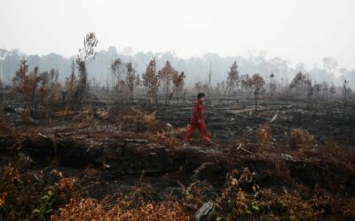 Impact of environmental crime on indigenous women [report]