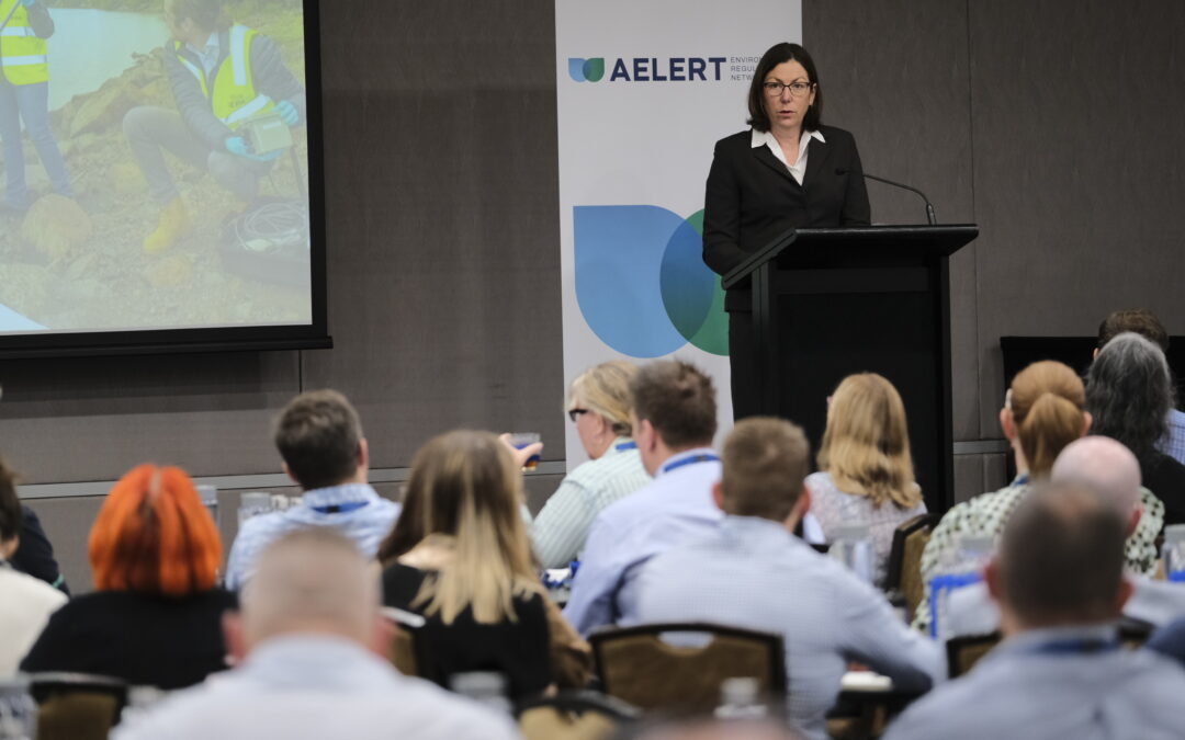 AELERT 2022 Conference officially opens