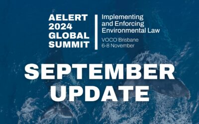 More than 100 speakers presenting at AELERT-INECE 2024 Global summit