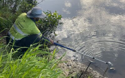 Gold Coast’s multi-million dollar enforcement action